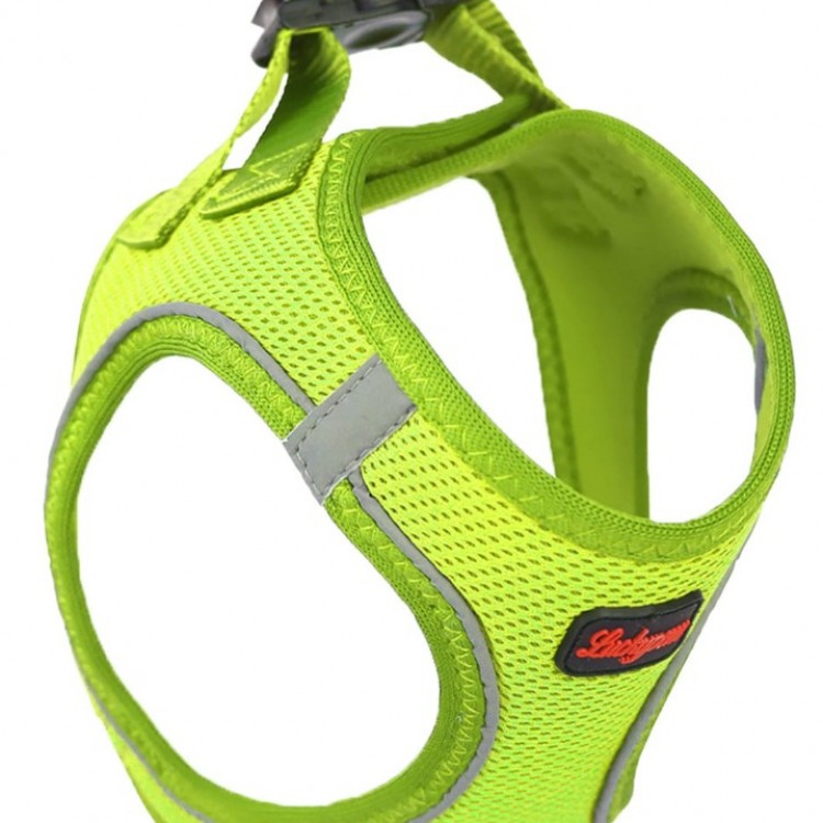 Neo Lime AirMesh
