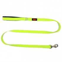Neo Lime  Leash