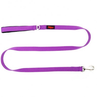 Purple  Leash